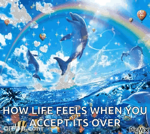 Dolphins Jumping Out Of Water How Life Feels When You Accept It GIF