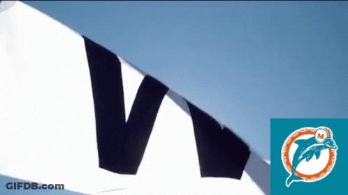 Dolphins Logo On Blue Background GIF