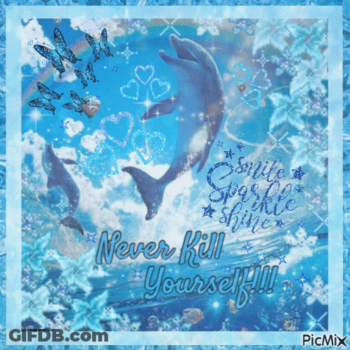 Dolphins Never Kill Yourself GIF