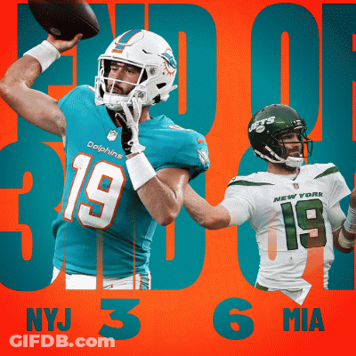 Dolphins Player Number 19 GIF