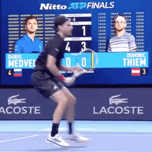 Dominic Thiem Fall GIF