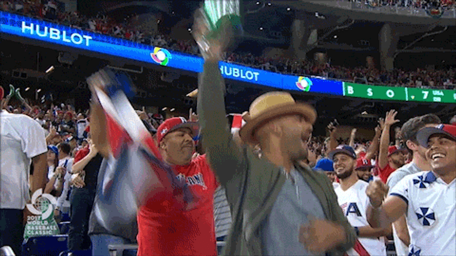 Dominican Baseball Crowd Cheering GIF