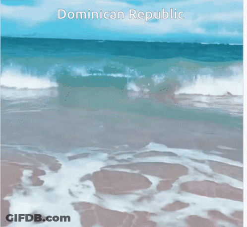 Dominican Republic Beach GIF