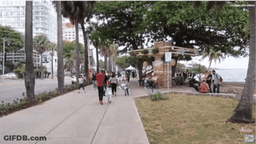 Dominican Republic Malecon Streets GIF