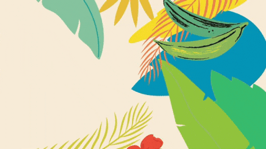 Dominican Republic Tourism Ad GIF