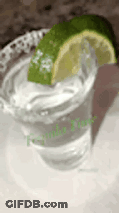Don Julio Taste Of Paradise GIF