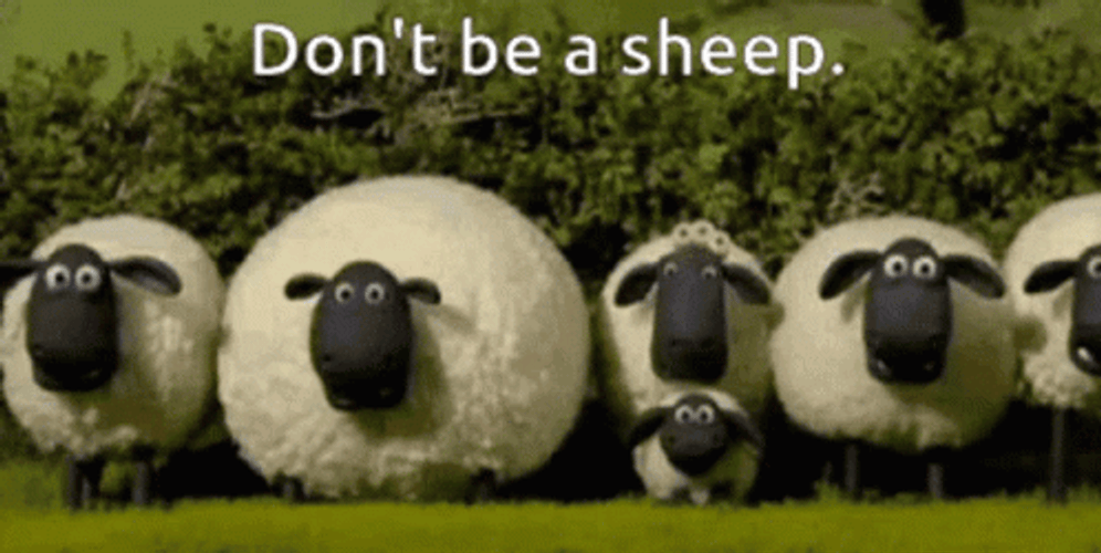 Don't Be A Sheep GIF