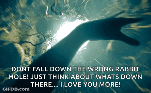 Don't Fall Down The Wrong Rabbit Hole I Love You More GIF