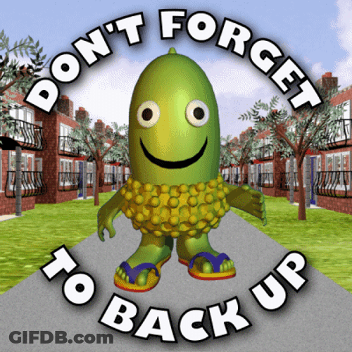 Don't Forget To Copy Back Up Files GIF