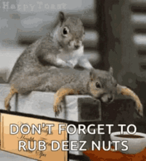 Don't Forget To Rub Deez Nuts GIF