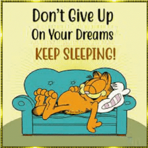Don't Give Up Lazy Saturday Keep Sleeping GIF