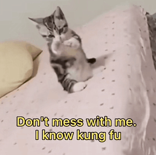 Don't Mess With Me I Know Kung Fu GIF