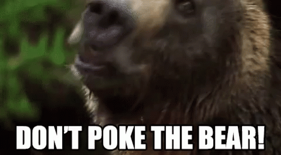 Don't Poke The Bear Warning Roar Growl GIF