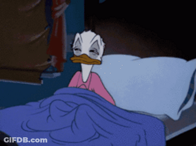 Donald Duck Disney Good Night Covers Blanket GIF
