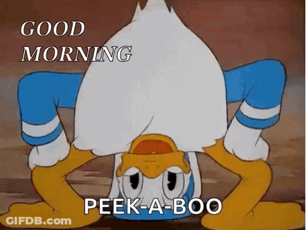 Donald Duck Handstand In Dirt Good Morning Peek-A-Boo GIF