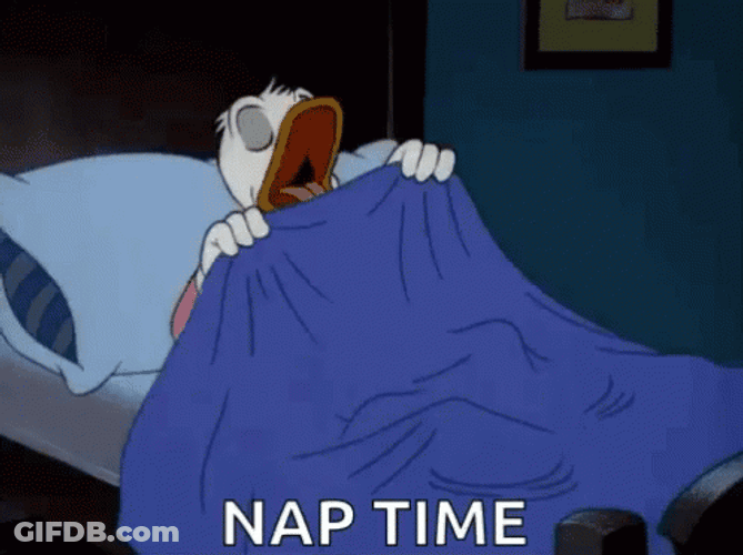 Donald Duck Has A Comfortable Nap Time GIF