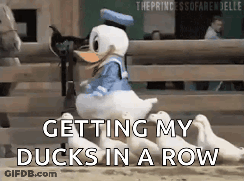 Donald Duck Is Getting His Ducks In A Row In A Fenced In Area GIF