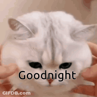 Donald Duck Lying On Bed With Pillow GIF