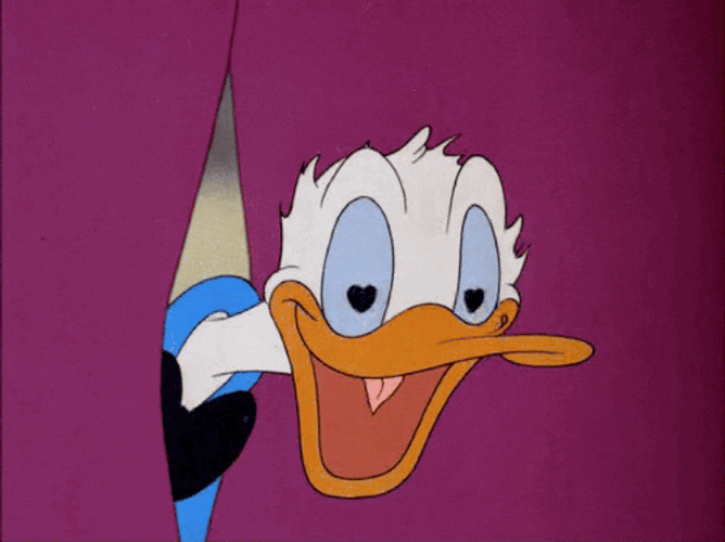 Donald Duck Peeking Amor GIF