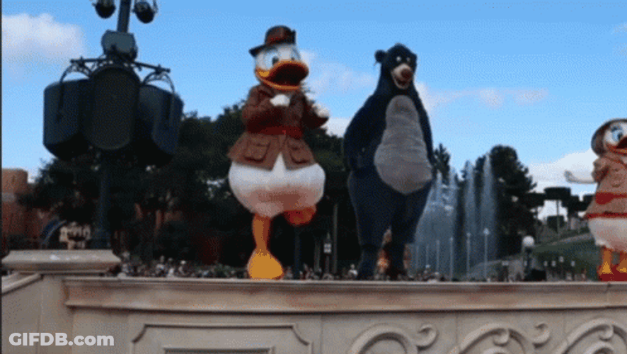 Donald Duck Performs In Disneyland Stage GIF