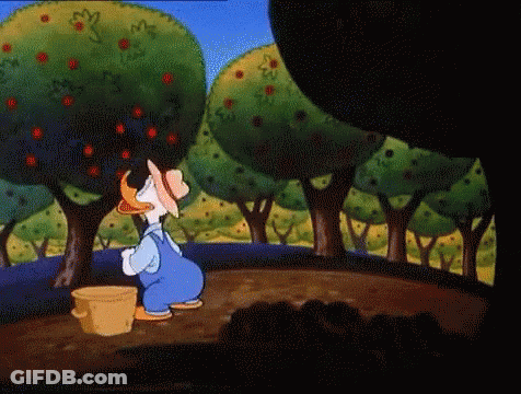 Donald Duck Picking Apples From Tree GIF