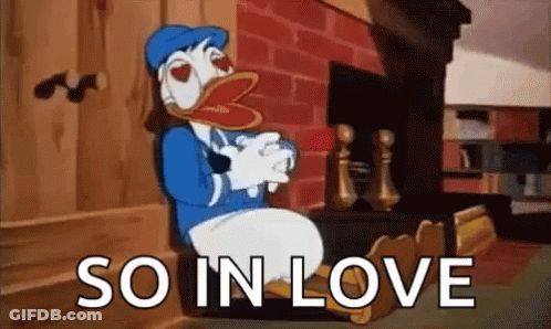 Donald Duck Sitting In Front Of Fireplace Saying So In Love GIF