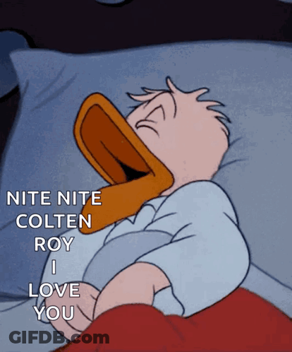 Donald Duck Sleeping Nite Nite GIF
