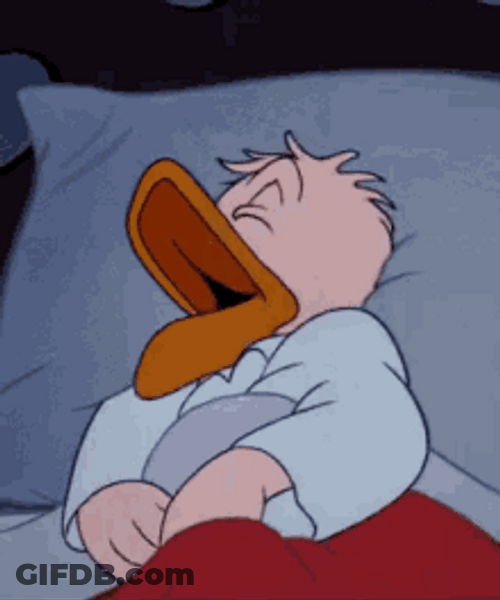 Donald Duck Walt Disney Snoring GIF