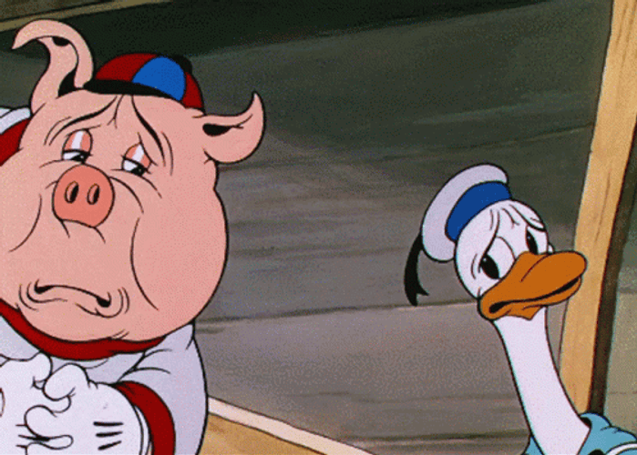 Donald & Pig Shaking Head GIF