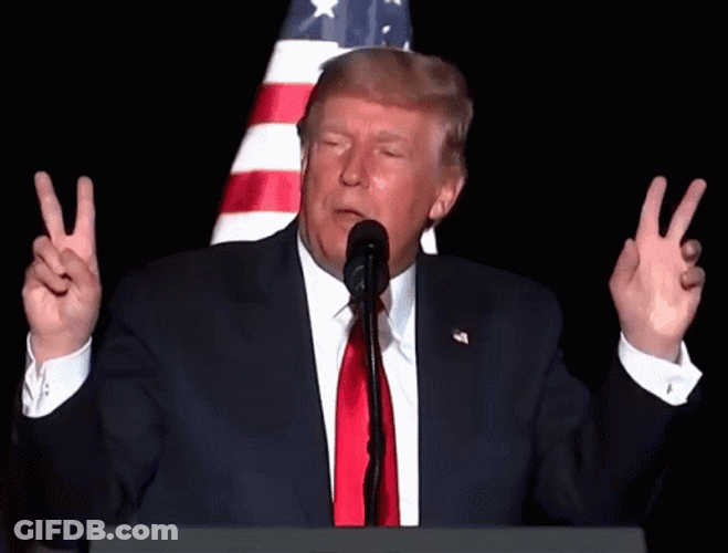 Donald Trump Air Quotes GIF
