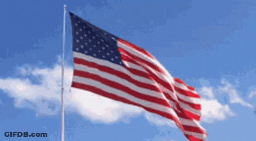 Donald Trump American Flag GIF