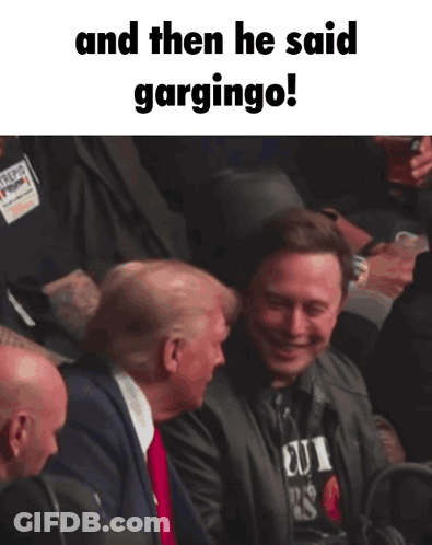 Donald Trump And Elon Musk Garglingo GIF