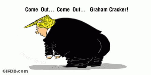 Donald Trump And Graham Cracker Enough Is Enough Already GIF