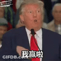 Donald Trump And Hillary Clinton 319 Million People Narrowed It Down This Nice Job America GIF