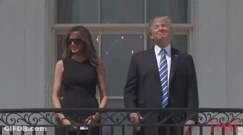 Donald Trump And Melania Trump Are Standing On A Balcony . GIF