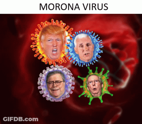 Donald Trump And Mike Pence Morona Virus GIF