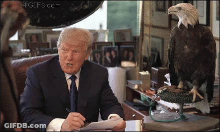 Donald Trump At Desk With Stuffed Bald Eagle GIF