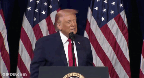 Donald Trump At Podium With Presidential Seal GIF