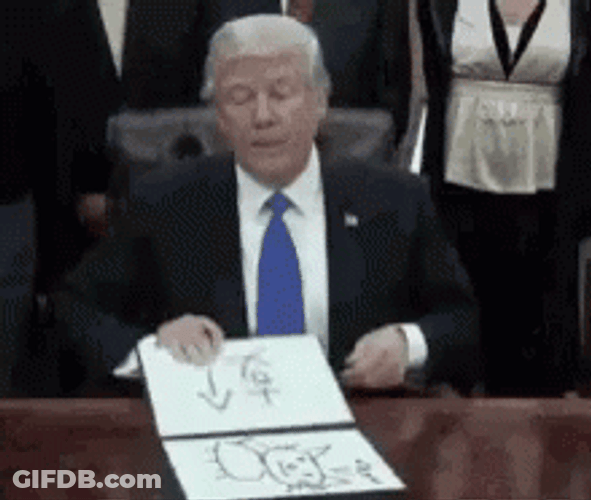 Donald Trump Cat Kitten GIF