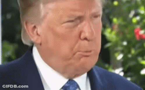 Donald Trump Close Up In Suit And Tie GIF