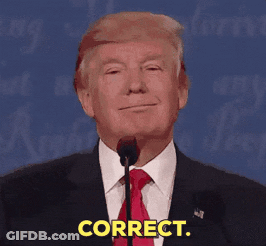 Donald Trump Correct GIF