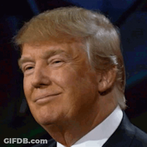 Donald Trump  Cute Wink GIF