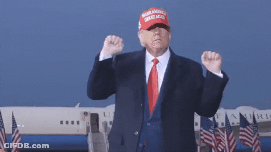 Donald Trump Dancing On Airport GIF