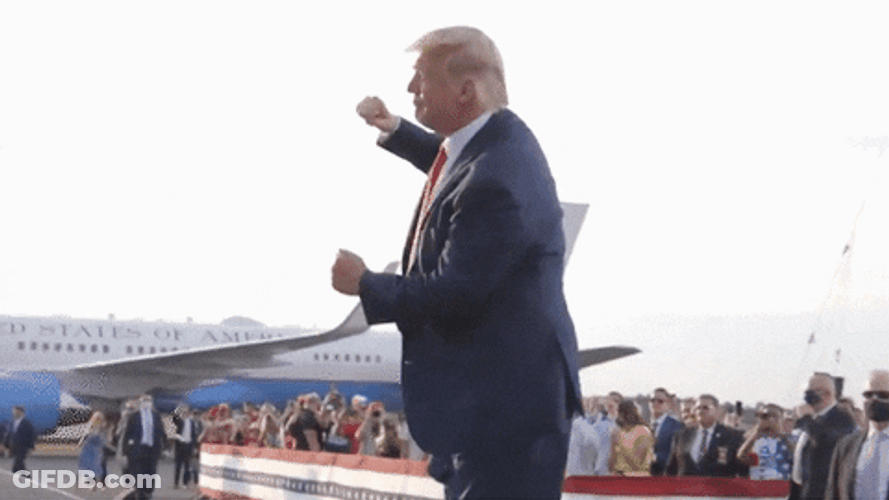 Donald Trump Dancing Outdoor GIF
