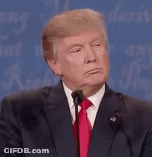 Donald Trump Disagree No GIF
