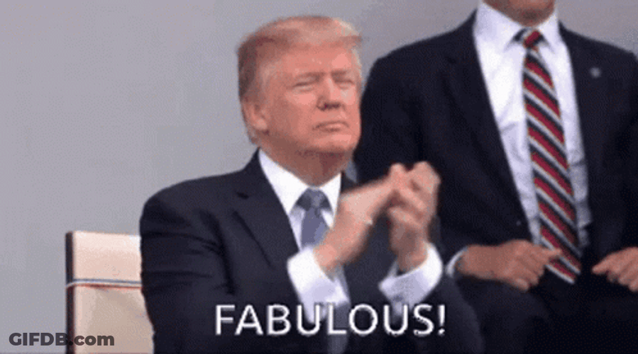 Donald Trump Fabulous GIF
