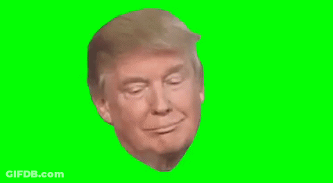 Donald Trump Face On Green Screen GIF