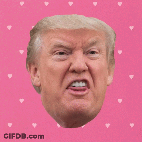 Donald Trump Face Surrounded By Hearts On Pink GIF