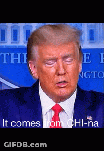 Donald Trump Face With It Comes From Chi-Na GIF