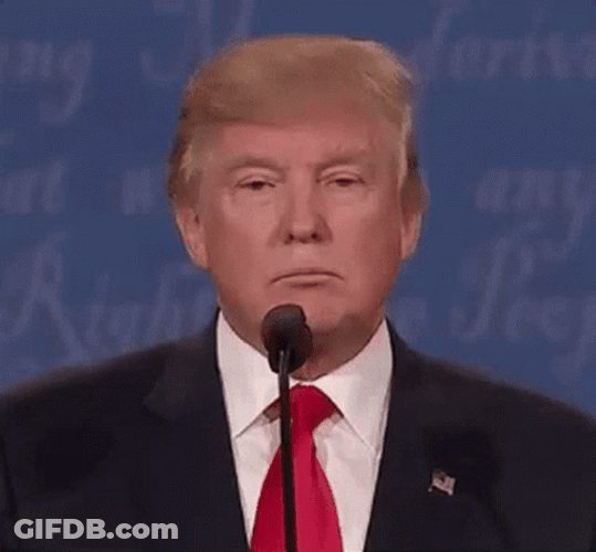 Donald Trump Fake Smile GIF